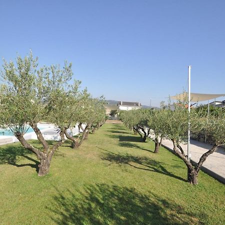 Olival Da Seara Villa Marco de Canavezes Dış mekan fotoğraf